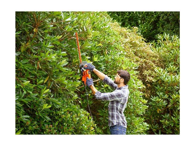 Elara BLACK+DECKER BEHT201