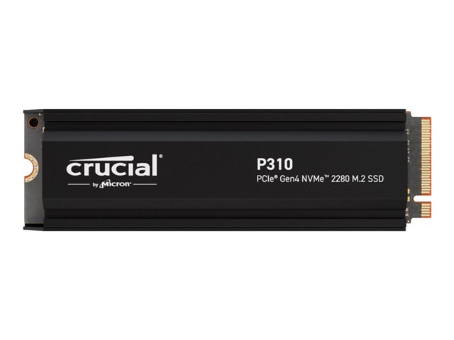 Elara Crucial P310