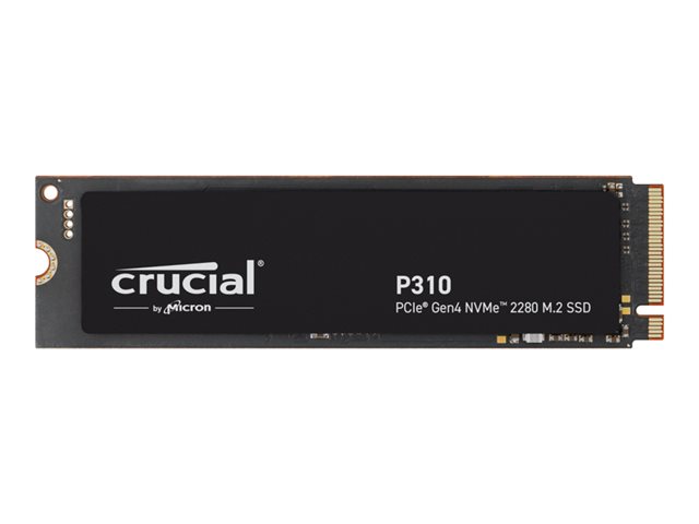 elara Crucial P310
