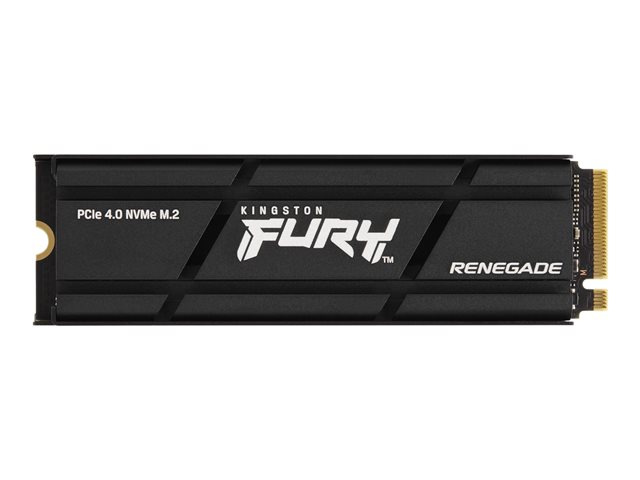 elara Kingston FURY Renegade