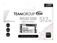 Elara Team Group MS30