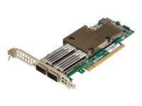 elara Broadcom NetXtreme E-Series P2100G