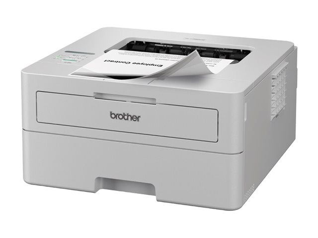 Elara Brother HL-L2865DW