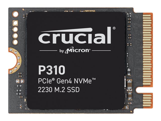 elara Crucial P310