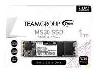Elara Team Group MS30